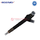 for perkins diesel engine injectors  0 445 110 646 for perkins injector 2645a747