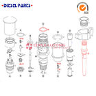common rail injector delphi  EJBR04101D in High Pressure Common Rail diesel injection systems