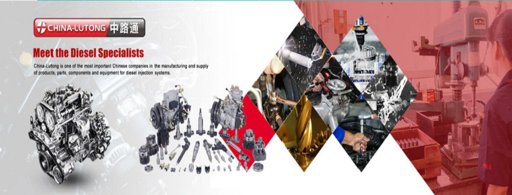 China best Common Rail Injector on sales