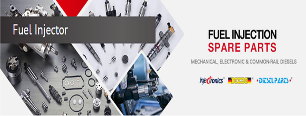 China best Common Rail Injector on sales