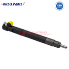 High quality common rail injector system EMBR0030 injector for sale 5.9 common rail injector for bosch,360 days warranty