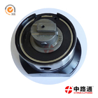 high quality head rortors for Hydraulic heads dp200 039L for lucas distributor head replacement