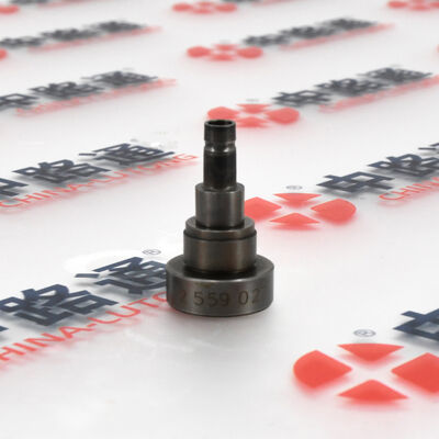 Diesel Engine Delivery Valve 2418554093