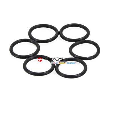 Common Rail Injector Repair Kit 0 445 120 078, Bos-ch Injector Overhaul Kit For Xichai 6DL1 6DL2 FAW J5 J6 Truck Diesel Engine
