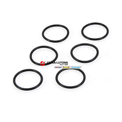 KIT,INJECTOR 0 445 120 106  Common Rail Injector Kit  045120106   for Dongfeng Renaul-t DCI11 Dongfeng Tianlong Truck