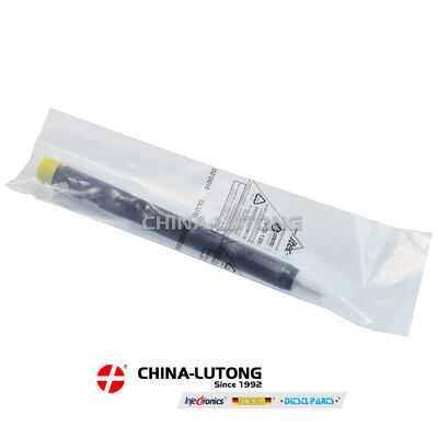 CR injector EJBR04601D    EJBR04601D Fuel Injector Nozzle A6650170321 For SSANGYONG REXTON 2.7 XDI