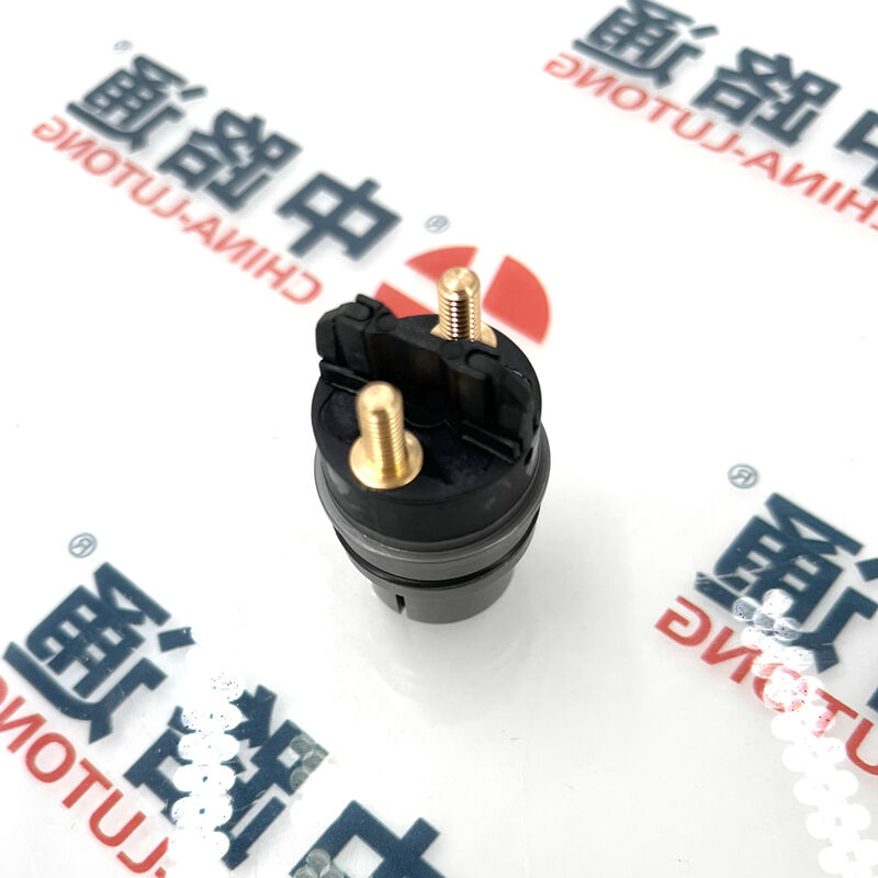 Common Rail injector Solenoid Valve Assembly F00RJ02703   for   0445120201, 0445120202, 0445120203, 0445120204