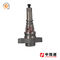 Aftermarket spare parts diesel plunger 2 418 455 379/2418455379 for DAF fuel pump supplier