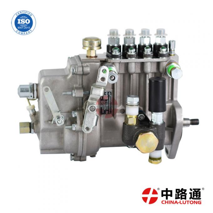 Distributortype injexction pump 2643D640 Fuel Injection Assembly For