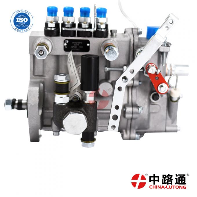Distributortype injexction pump 2643D640 Fuel Injection Assembly For